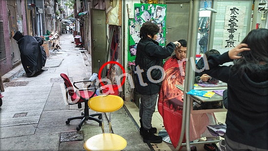 ответы в картинках на игру Где же кот Уровень 7077