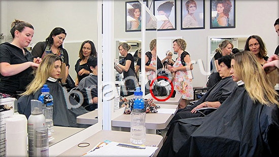 Где же кот ответы в одноклассниках Уровень 7079