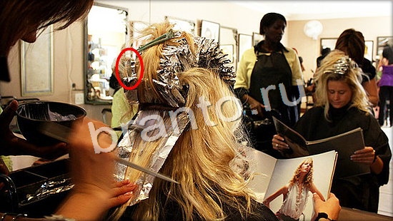 ответы на игру Где же кот Уровень 7081