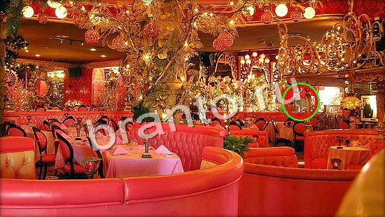 Решения на игру Где же кот Уровень 7083