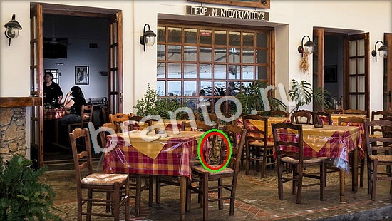 Где же кот? помощь Уровень 7090