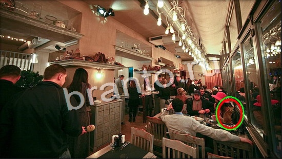 Где же кот игра подсказки Уровень 7094