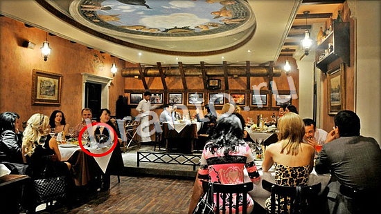 Где же кот игра помощь Уровень 7095