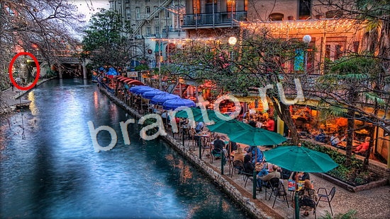 Игра Где же кот ответы Уровень 7097