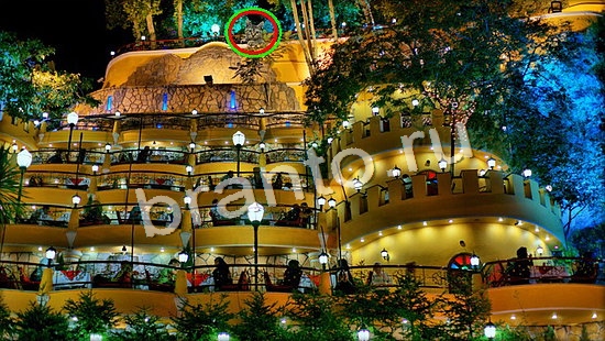 Игра Где же кот подсказки Уровень 7098