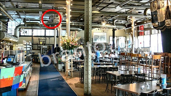 прохождение на игру Где же кот Уровень 7101