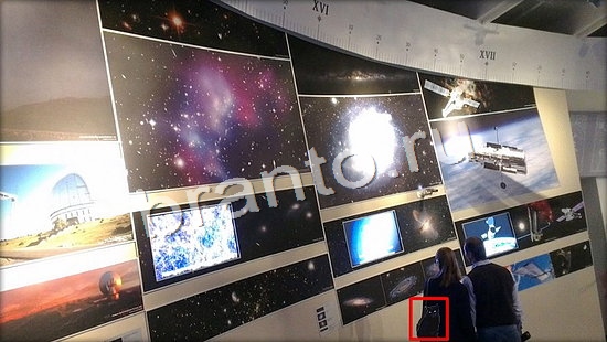 Решения на игру Где же кот Уровень 7123