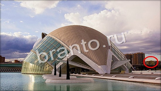 Где же кот игра ответы в одноклассниках Уровень 7127