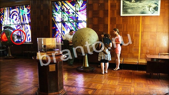 Где же кот? ответы Уровень 7128