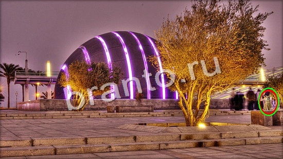 Где же кот? подсказки Уровень 7129