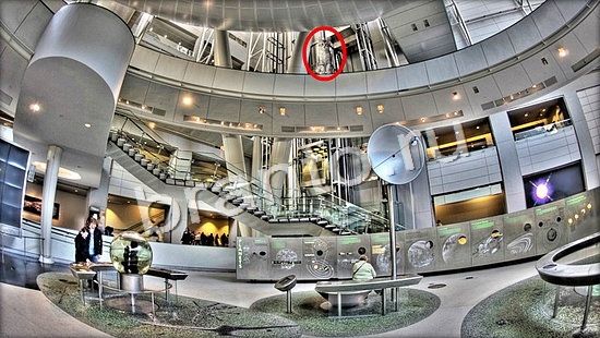 решебник на игру Где же кот Уровень 7131