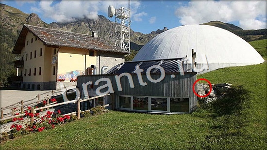 Где же кот? решения Уровень 7132