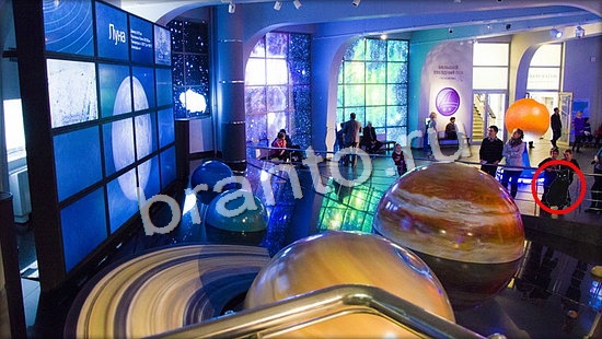 Где же кот игра ответы Уровень 7133