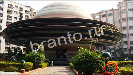 Где же кот игра подсказки Уровень 7134