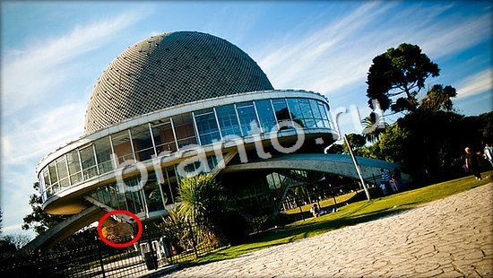 Где же кот игра помощь Уровень 7135