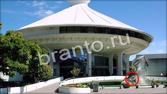 Игра Где же кот ответы Уровень 7137