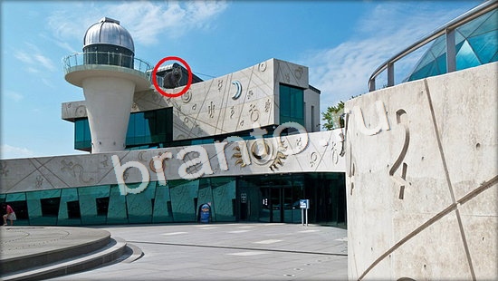 Игра Где же кот подсказки Уровень 7138