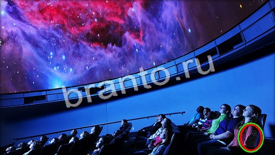 Игра Где же кот прохождение Уровень 7140