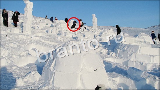 Где же кот прохождение игры Уровень 7142