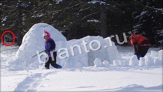 відповіді на игру Где же кот в одноклассниках Уровень 7143