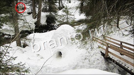 Прохождение игры Где же кот Уровень 7144