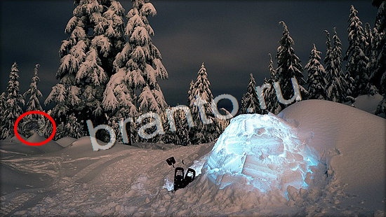 ответы Где же кот Уровень 7145