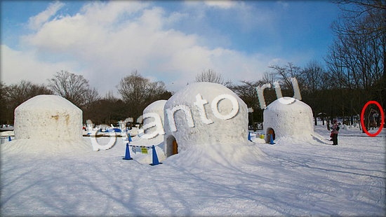 ответы Где же кот? в одноклассниках Уровень 7146