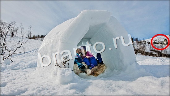 ответы для игры Где же кот Уровень 7147