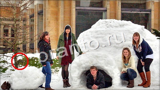 решения для игры Где же кот Уровень 7148