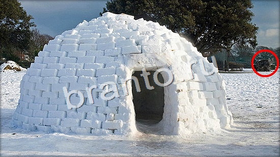 Где же кот игра ответы Уровень 7149