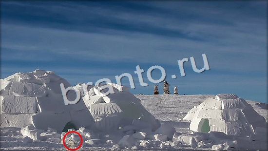 Где же кот помощь в картинках Уровень 7151