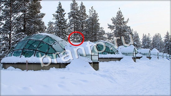 Где же кот ответы на новые задания Уровень 7153