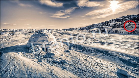 решения на игру Где же кот Уровень 7155