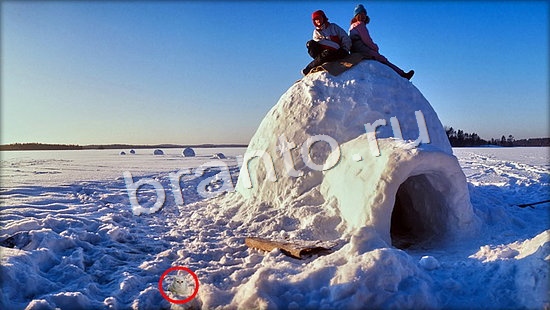 ответы на игру Где же кот Уровень 7156