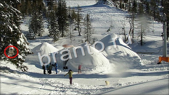 ответы в картинках на игру Где же кот Уровень 7157