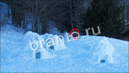 помощь на игру Где же кот Уровень 7158