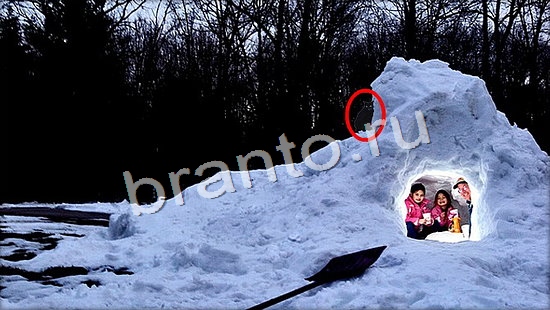 Где же кот ответы в одноклассниках Уровень 7159