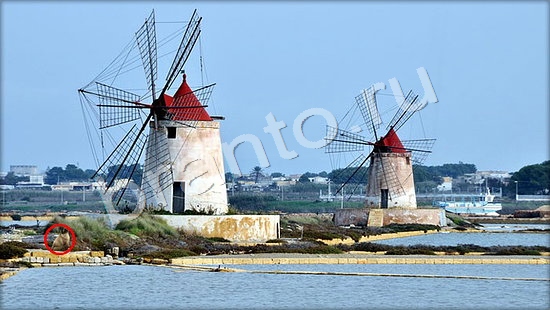 ответы на игру Где же кот Уровень 7241