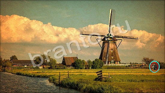 Подсказки на игру Где же кот Уровень 7242