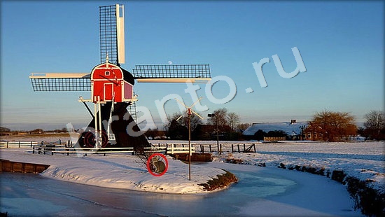 Решения на игру Где же кот Уровень 7243