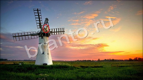 Помощь на игру Где же кот Уровень 7244