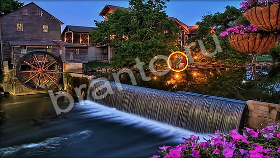 ответы к игре Где же кот Уровень 7245