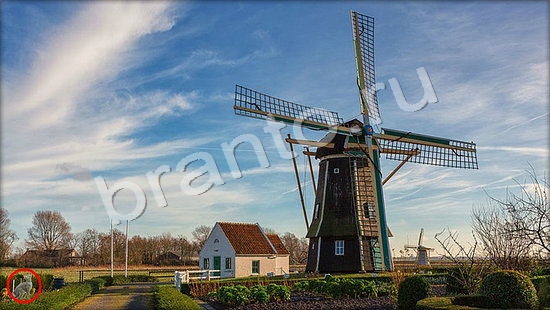 ответы на игру в одноклассниках Где же кот Уровень 7246