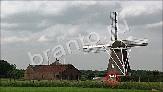 Где же кот игра ответы в одноклассниках Уровень 7247