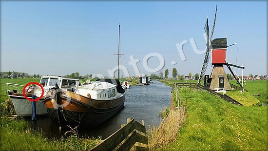 Где же кот? ответы Уровень 7248