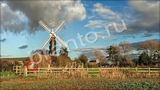 Где же кот? помощь Уровень 7250