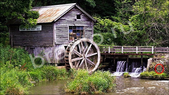 решебник на игру Где же кот Уровень 7251