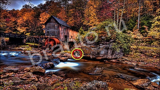 Где же кот игра ответы Уровень 7253