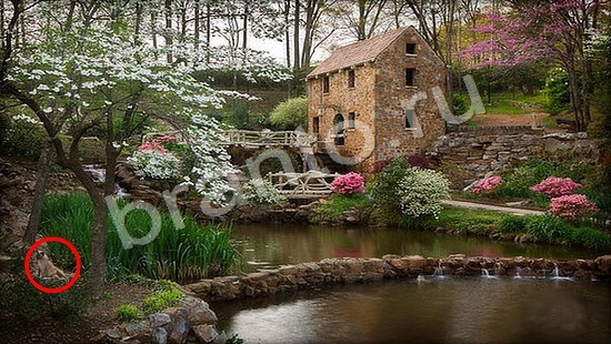 Где же кот игра подсказки Уровень 7254