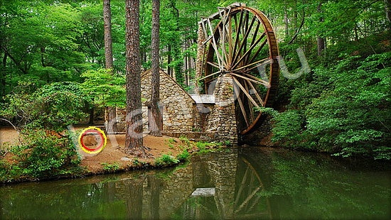 Где же кот игра помощь Уровень 7255